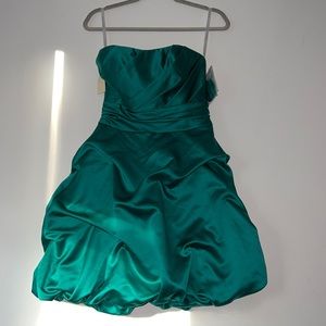 Size 4 David’s Bridal Green Dress.